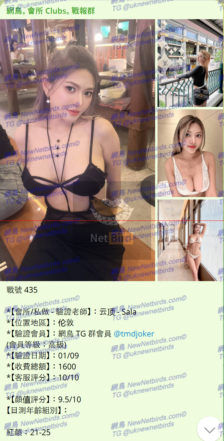戰號 435 1.png